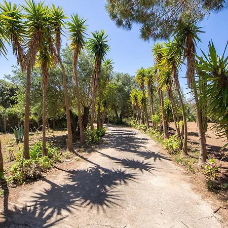 Secret Garden Villa-3bd, Pool & Bbq In Villa *